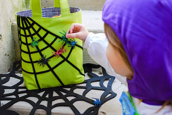 spiderwebs bag