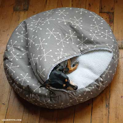 Burrow dog bed (paid)