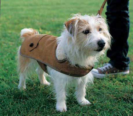 Tweed dog coat