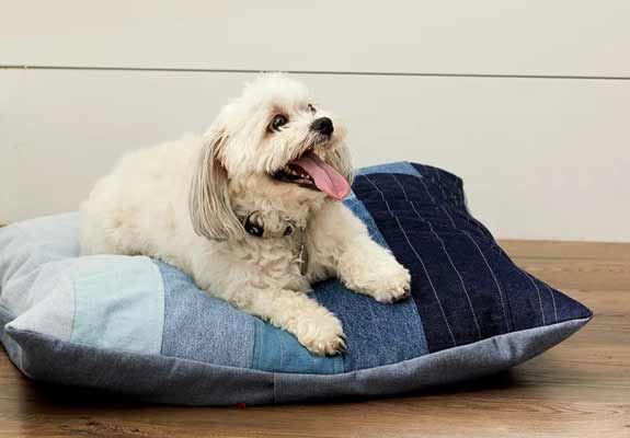 Quilted pet bed that your furball will love