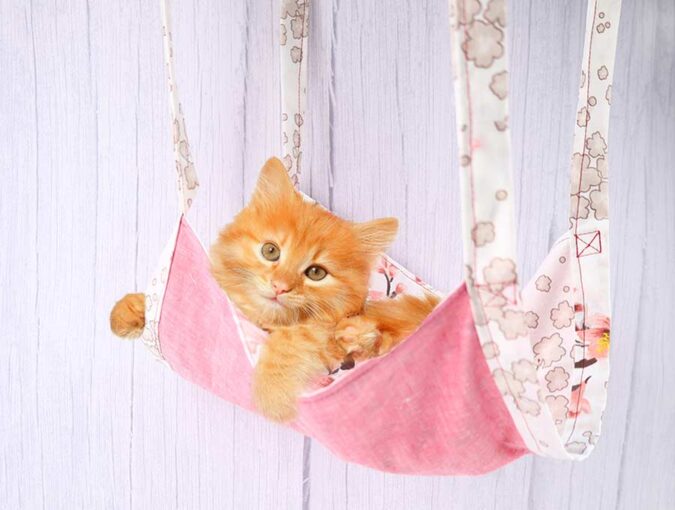 diy cat hammock with kitty inside