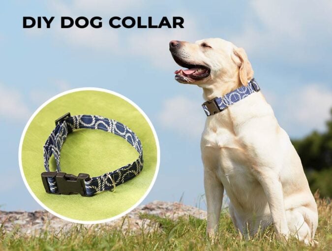 DIY dog collar