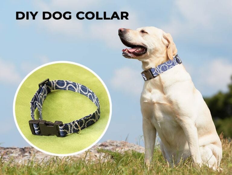 DIY Dog Collar – How to Sew a Dog Collar