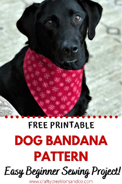 Reversible dog bandana