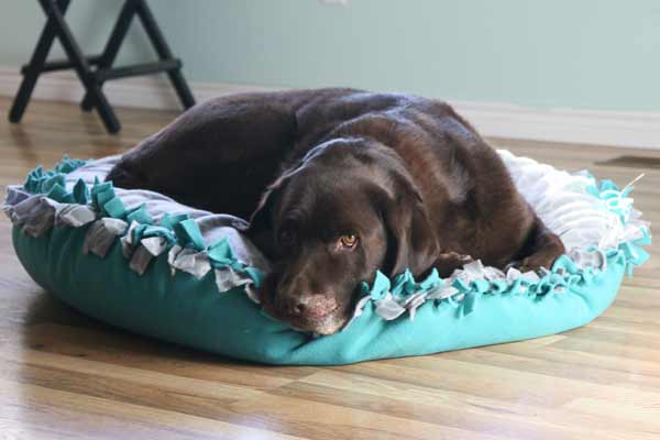 No sew dog bed