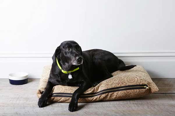 Easy washable square dog bed