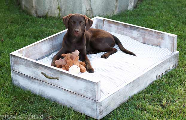 Dog crate bed