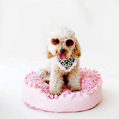 DIY dog bed pattern with pompom trim