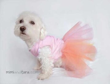 Free Printable Dog Clothes Patterns And Tutorials ⋆ Hello Sewing