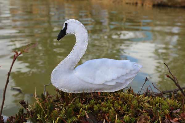 Swan pattern