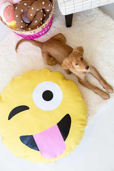 Emoji dog bed