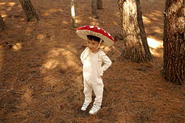 NO-sew mushroom hat costume out of felt