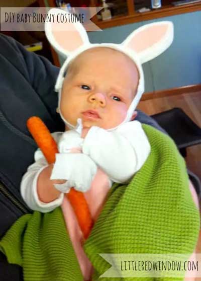 Baby bunny costume