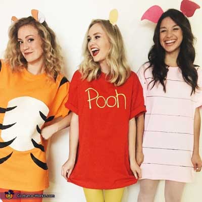 Pooh bear, tiger and Piglet costume adults