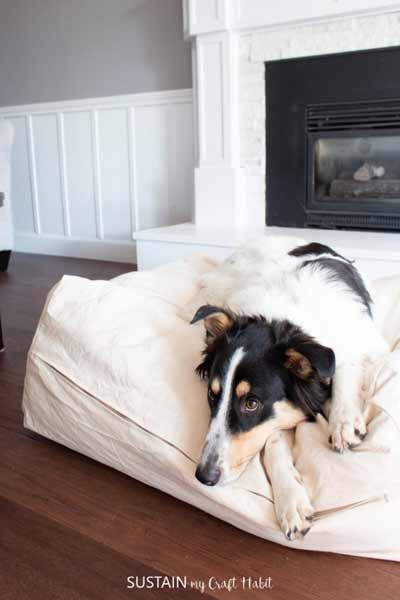 Removable dog bed cover