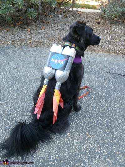 Rocket dog costume