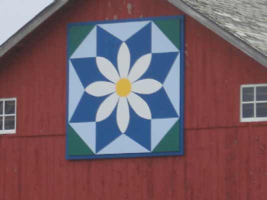 Texas Daisy Barn Quilt