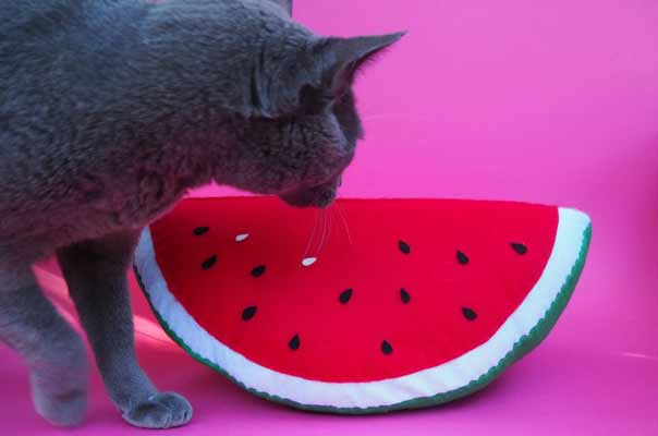 Sweet Watermelon Pillow DIY