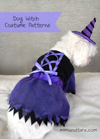 Dog witch costume
